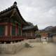 Korean Majesty: A Blend of Nature and Architecture