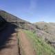 The Windy Path: Journey Through the Marin Headlands Hill 88