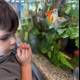 Captivated by the Aquarium Wonders