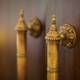 Brass Knobs on a Wooden Door