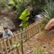 Discovering Dinosaurs in the Garden