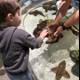 Touching the Wonders of the Sea