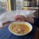 Soup and a Feline Companion