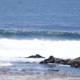 Whispering Waves of Cayucos