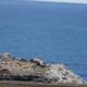 Majestic Shores of Cayucos