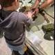 Curious Hands at the Aquarium