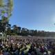 Concert Crowd Shines Under the California Sun