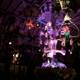 Nighttime Jungle Cruise Adventure