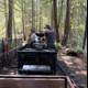 Journey Through Tilden's Woodland
