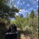 Exploring the Wilderness by Rail