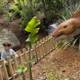 Backyard Adventure: Dino Discovery