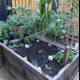 Raised Garden Bed with Plants and Tarp
