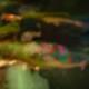 Blurry Encounter