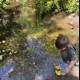 Curious Steps in Nature