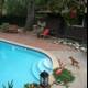 Serene Backyard Setting with Pool and Canine Companion