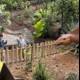 Jurassic Adventure Encounter