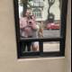 Window Selfie in Oxnard