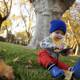 Nature Boy: An Autumn Day in Downtown Sonoma