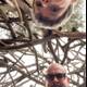 Twists of Nature and Laughter