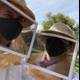 Beekeeping at Carmel