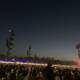 Bright Lights and a Sea of People at the Empire Polo Club