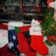 Santa & Teddy Stocking