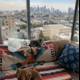 Paws and Pillows with a City View