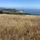 Overlooking the Pacific from a Grassy Hill
