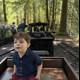 Joyful Adventure on the Woodland Express