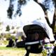 Morning Stroll in Delores Park, 2023