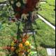 Flower Wreath on Grave