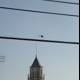 Helicopter Flying over Clock Tower Building