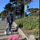 Pink Coat and Pooch on Alamo Square Stairs