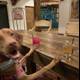 Canine Happy Hour