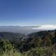Overlooking the Pacific Mist: A Panoramic View from Tilden Park