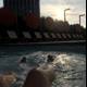 Sunset Swimmer