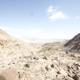 Standing Tall on a Desert Hill