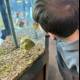 Mesmerized by the Underwater World
