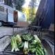 Grilling Vegetables by the Trailer