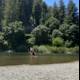 Kayaking Adventure on the Russian River