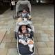 Strollers at the Museum