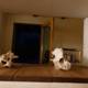 Wooden Shelf with Seashell and Animal Decor