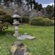 Tranquil Japanese Garden with Stone Lantern and Bench