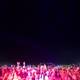 Ecstatic Crowd at Coachella Music Festival