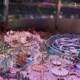 Miniature Magic: A Glimpse into the Fantastical World of Theme Parks