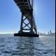 Bay Bridge and the San Francisco Metropolis