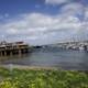 Harbor Daydreams in Monterey, 2024
