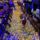 Confetti Wonderland