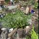 Tranquil Garden Gathering