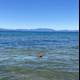 Serene Swimming in South Lake Tahoe